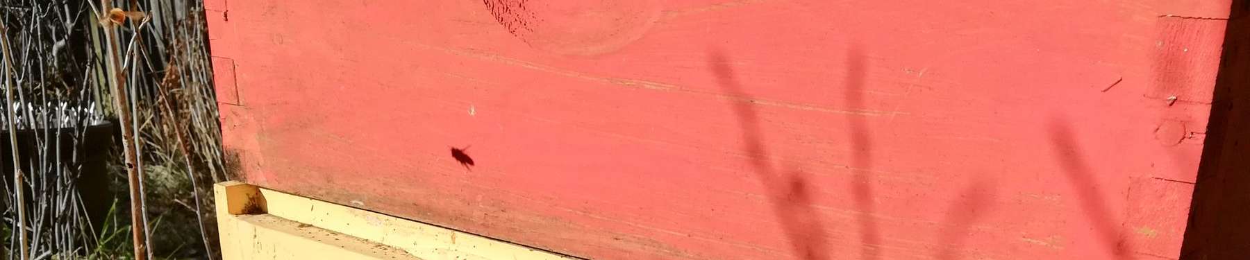 Click to show or hide the buttons